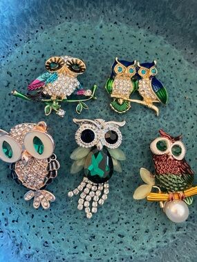 Owl Brooch Bundle Crystal Rhinestone Whimsical Cottagecore Teacher Gift Jewelry